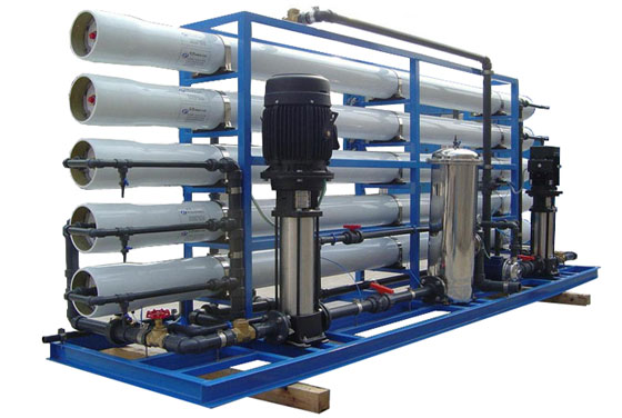 ���B͸�O��