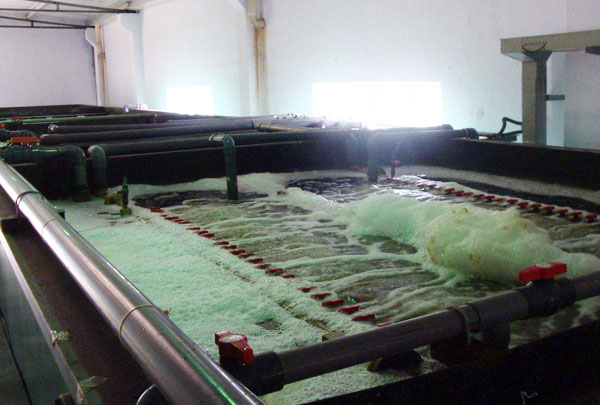 ������ˮ̎���O��