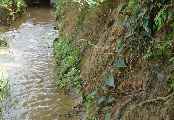 ����ˮ̎�����������ˮ��������