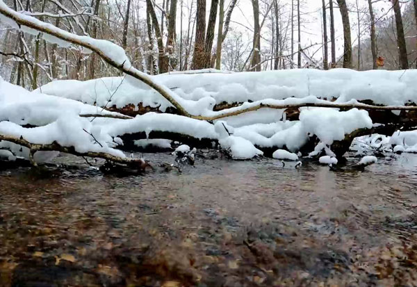 ɽ�ϵ�ѩˮ��΃���̎���_�������ˮ��ָ��Ҫ��